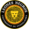Leones Negros