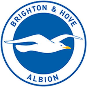 Brighton   Hove Albion